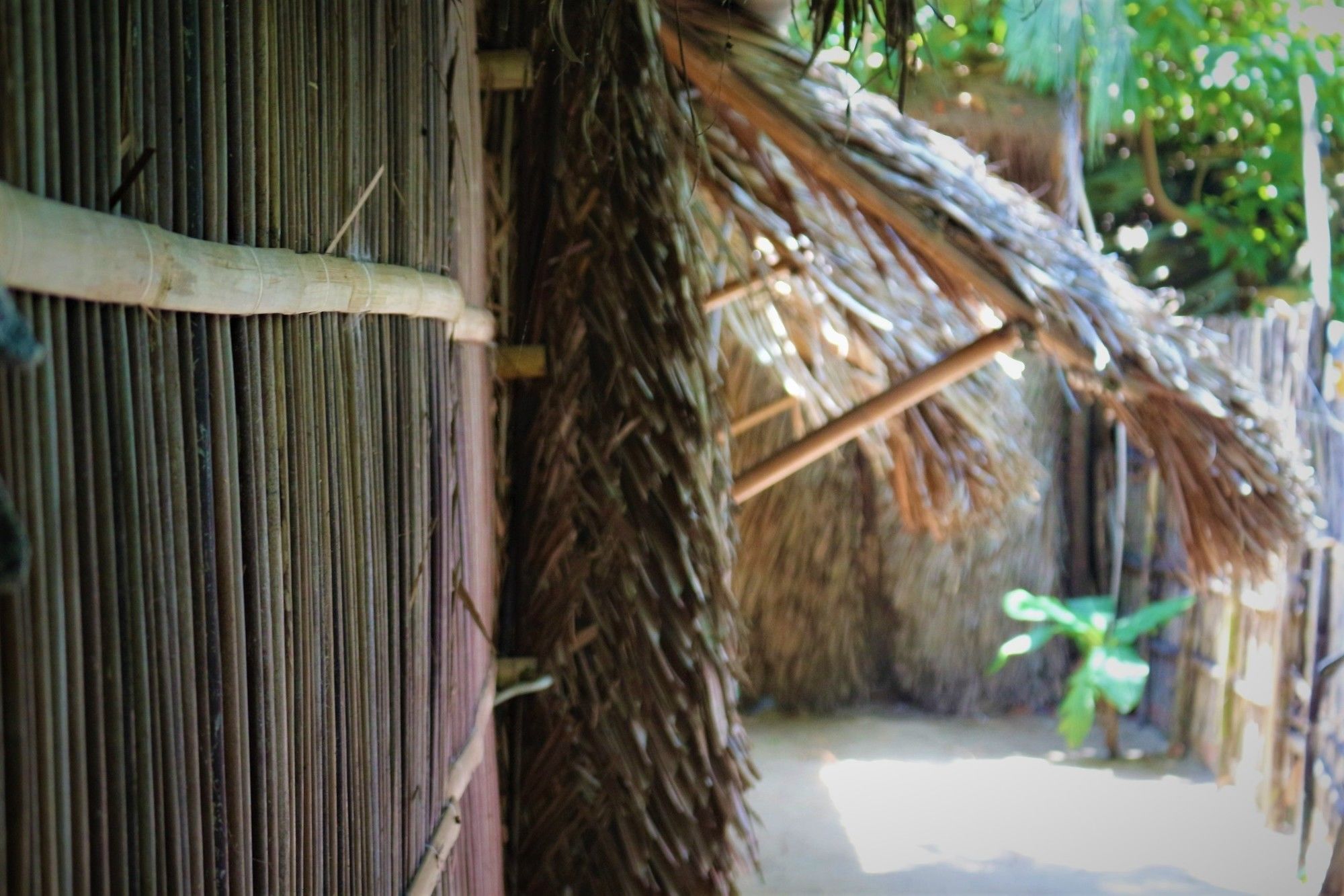 Under The Coconut Tree Hotel ฮอยอัน ภายนอก รูปภาพ