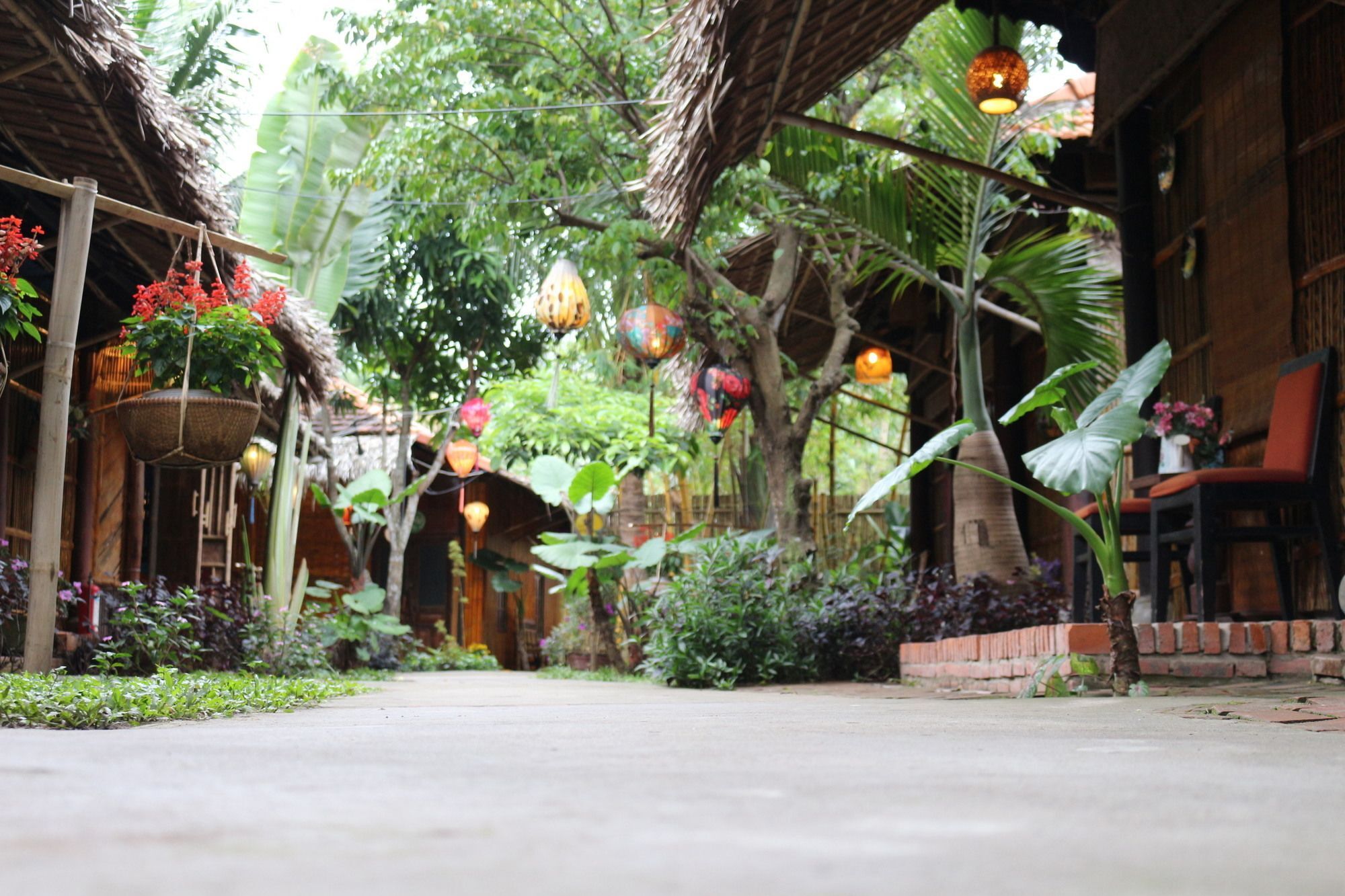 Under The Coconut Tree Hotel ฮอยอัน ภายนอก รูปภาพ