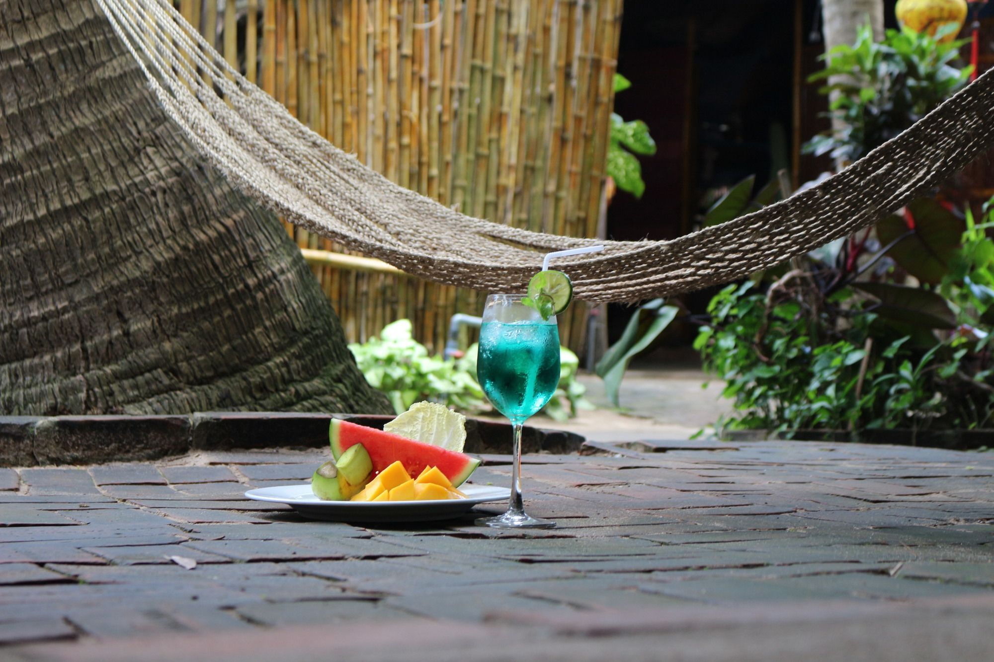 Under The Coconut Tree Hotel ฮอยอัน ภายนอก รูปภาพ